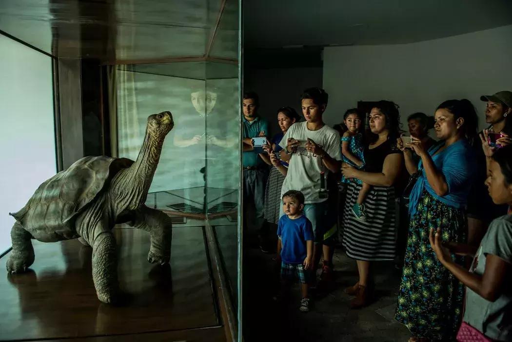 10种罐头推荐,十大经典罐头