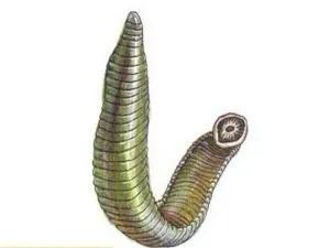 卫生部门应对河南洪水,国家卫生健康委发布洪水灾害