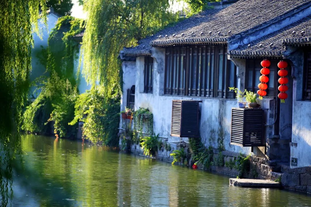 三大赏樱胜地哪个地方樱花最多,国内赏樱花的最佳地点