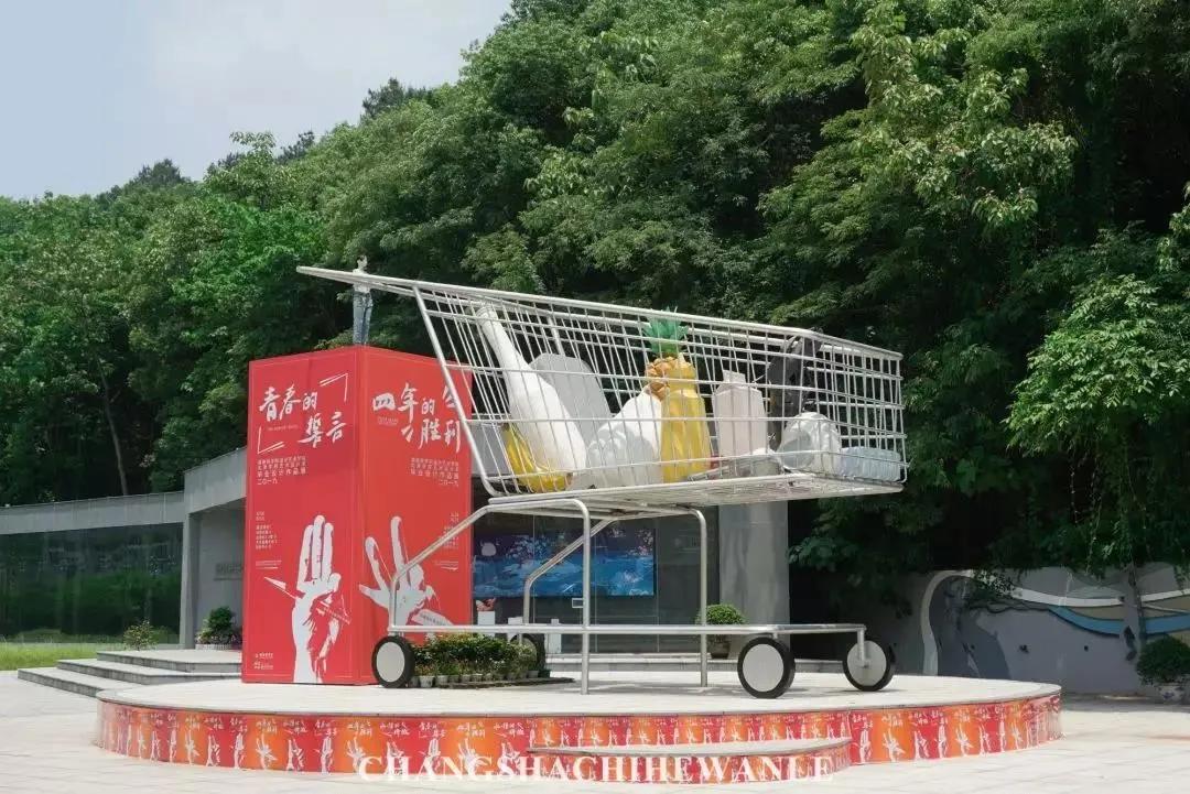 母校我想你,想你母校