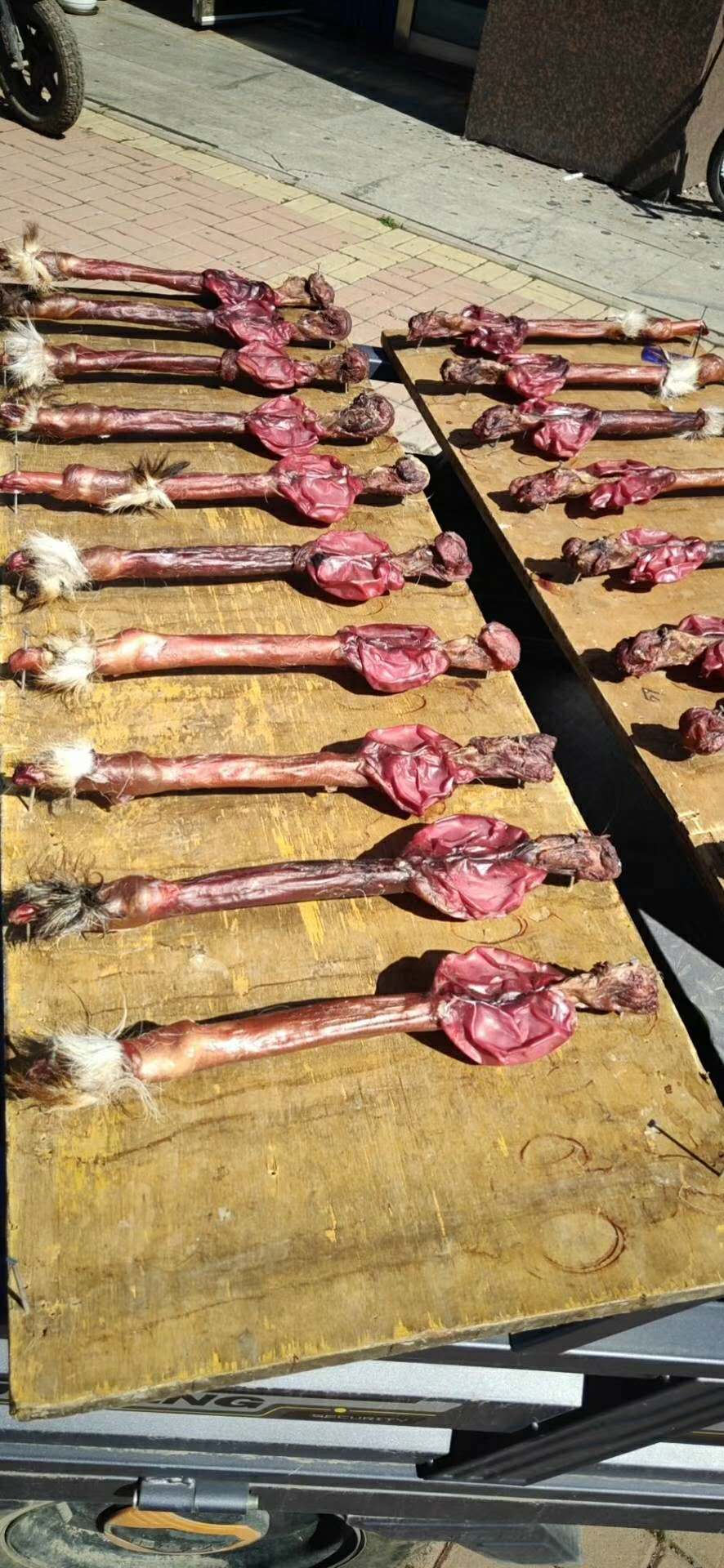 揭秘!!不要再浪费你的鹿鞭了!原来这样才能真正发挥它的效果