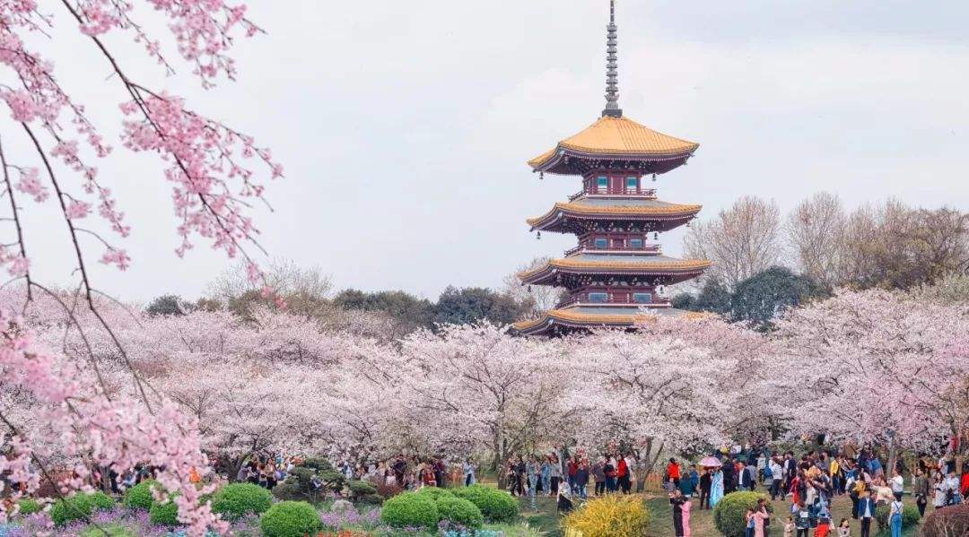 湖北大学教育学311复试,湖北大学教育学考研311