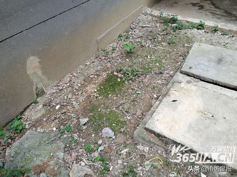 复兴区15岁孩子跳楼事件,合肥一女孩坠楼坠亡