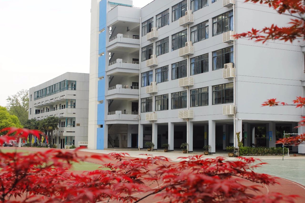 名校力量|原来你是这样优秀的科利华