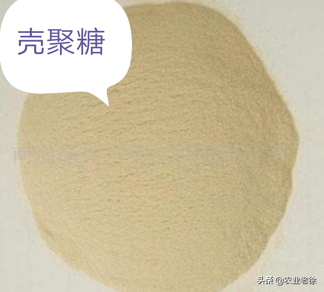 壳寡糖在农业上使用量,壳寡糖在农业上的应用