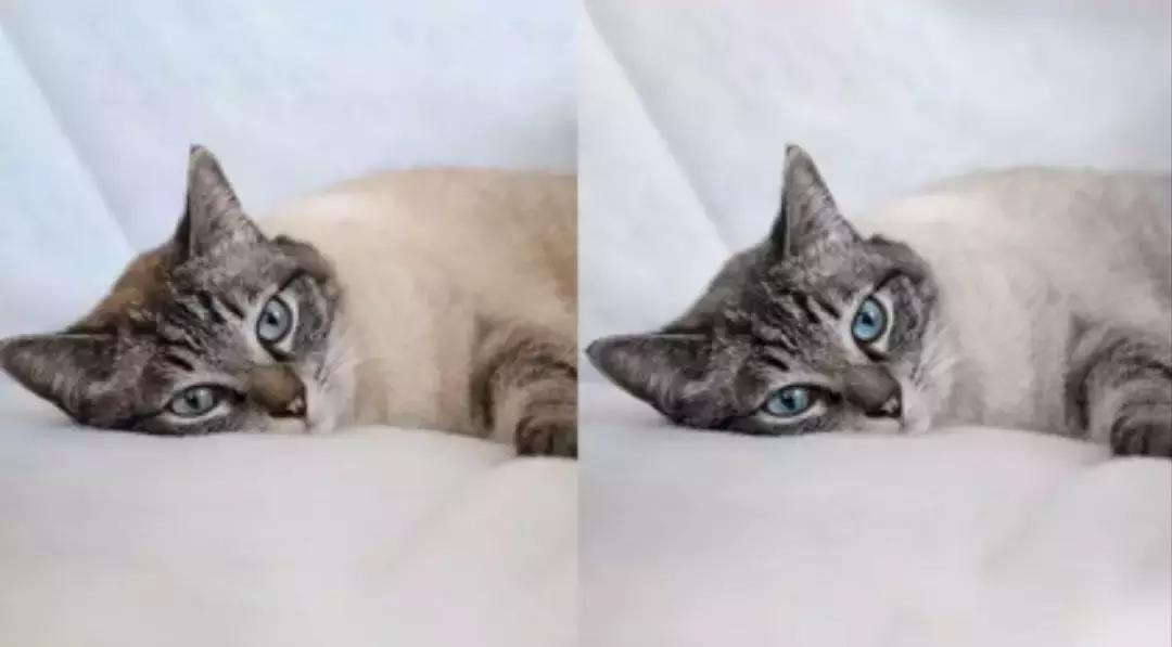 有逼格的p图软件,最近朋友圈很火的修图软件