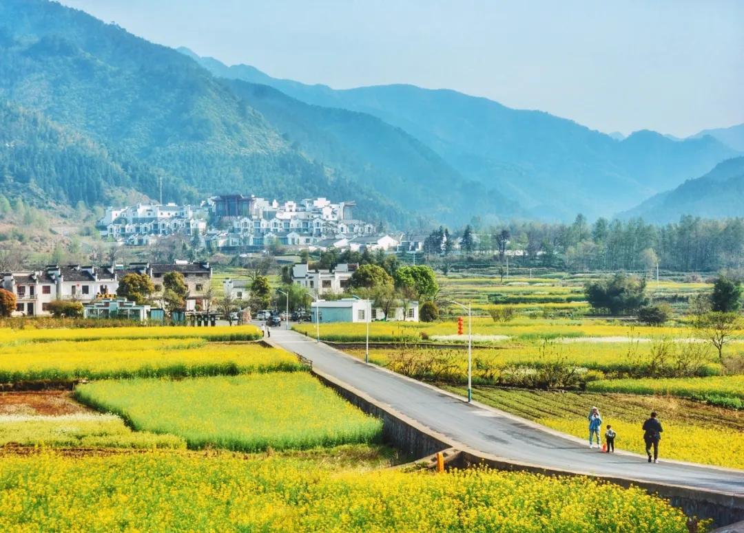 一生必背100首唐诗宋诗,一生必背的50首宋词