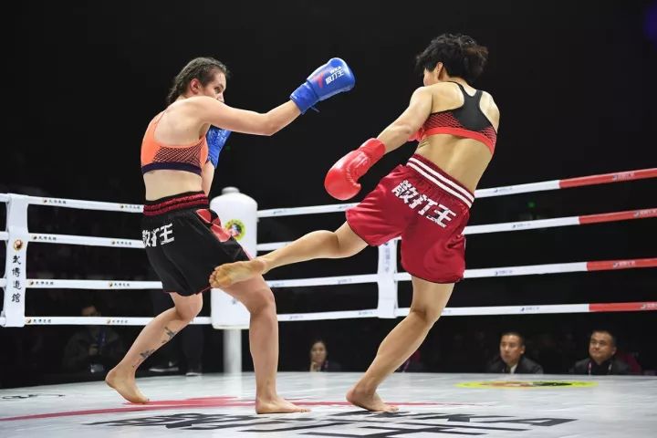 散打介绍简短文字,散打文章