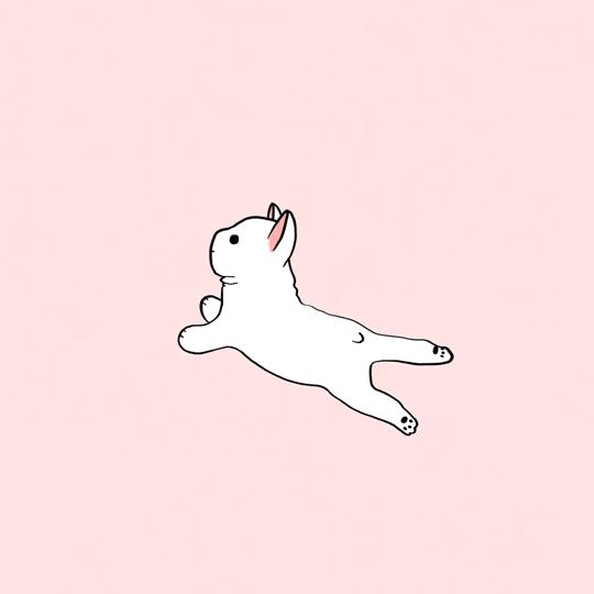 地垫种类,地垫有哪些种类和区别呢