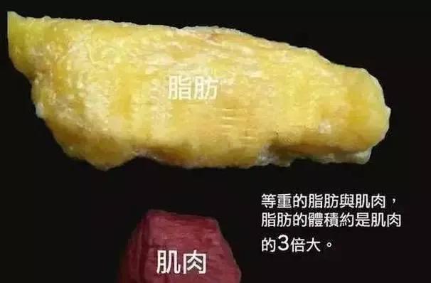 吃什么分解脂肪,脂肪分解去眼袋