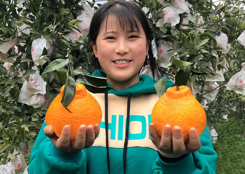 这5种四川特色美食你知道几个,四川特产麻辣下饭菜开胃菜猪尾巴