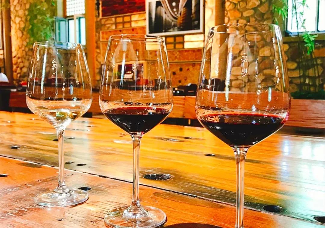 秋天银川旅游线路推荐,银川的秋天