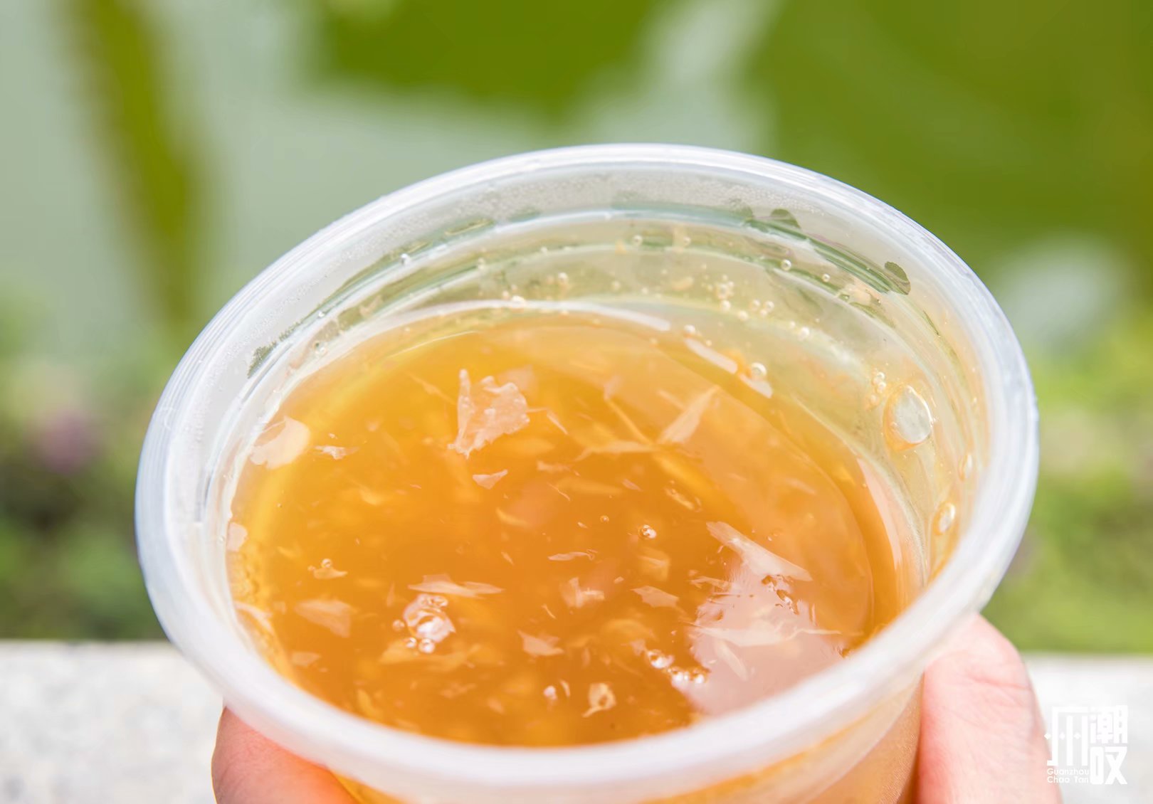 荔枝湾涌这条不足200米的街，50元吃遍西关地道美食！