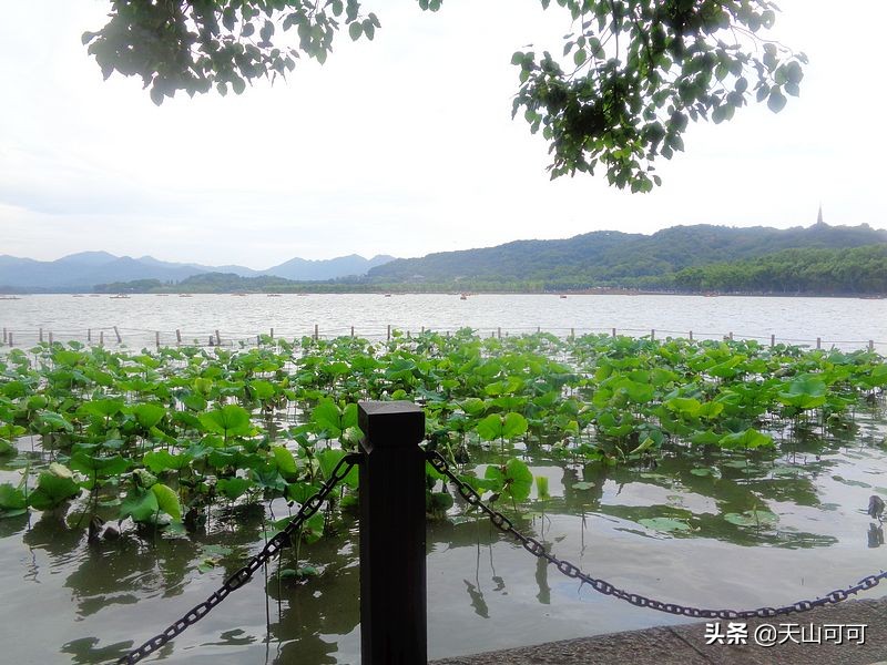 西湖一日游西湖景色到底有多美,再说一遍西湖之美