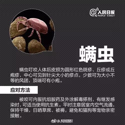 广西一女子被蚂蚁咬伤后不幸身亡,广西姑娘被一只蚂蚁咬到紧急住院