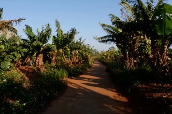 北海旅游攻略涠洲岛二天一夜,北海旅游攻略涠洲岛海鲜攻略