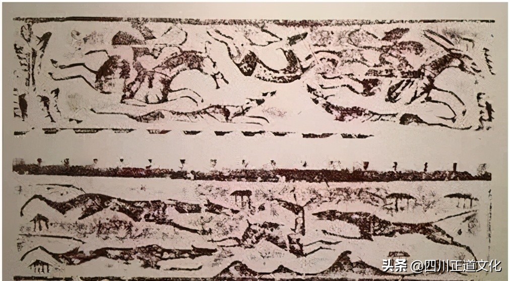 猫的故事,猫的故事视频