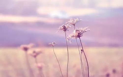 抑郁症双相情感障碍最好治疗方法,抑郁症按双相情感障碍治疗会怎样