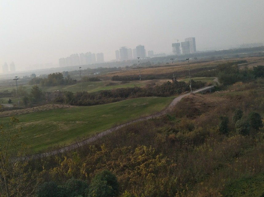 西安渭河风景,西安渭河草滩