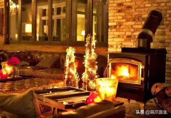 上海可带宠物入住的酒店推荐,怎么选宠物友好酒店房间