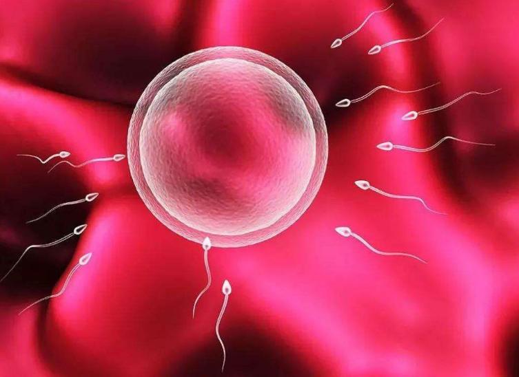 一般女生的排卵期在什么时候出现,女生到排卵期有什么表现