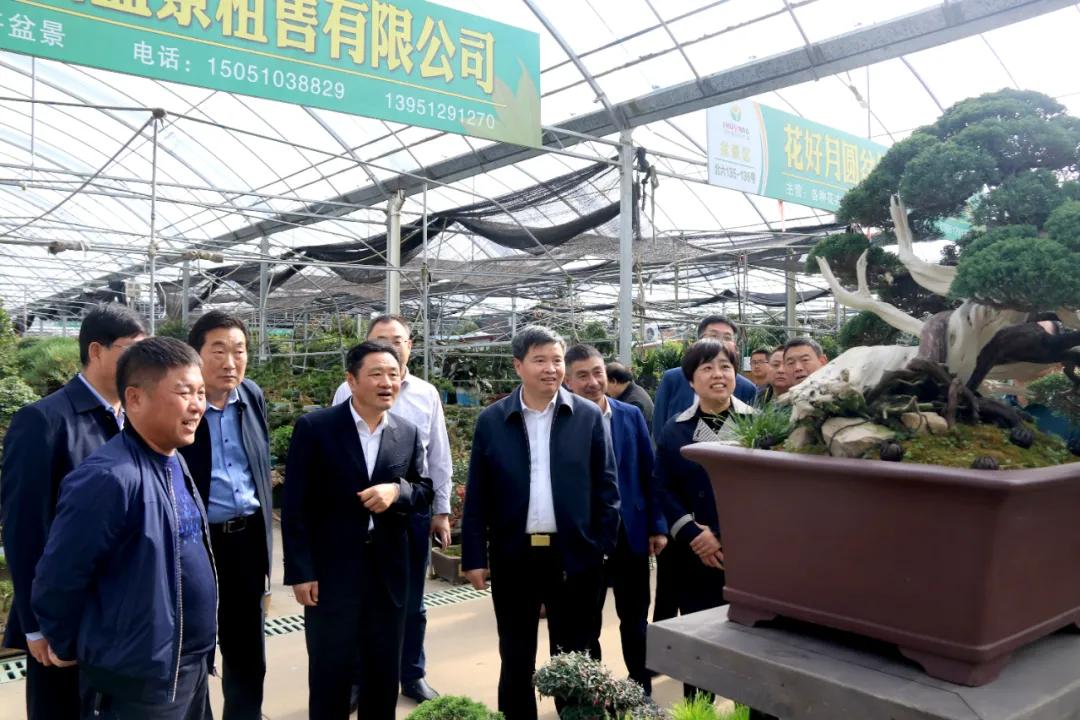 中国沭阳国际花木城在哪个城市,沭阳花木城的发展