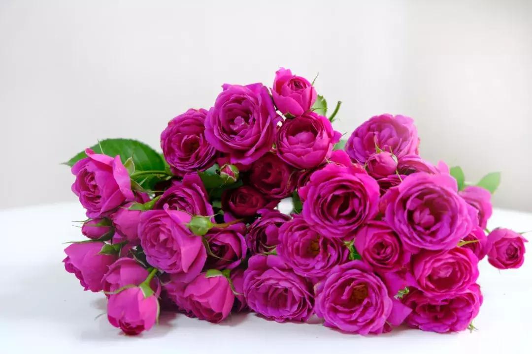 那些年你爱过的小说女配,那些年你爱过的老歌