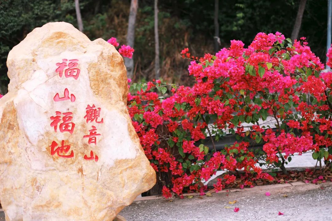 超灵验的姻缘福地！离广州深圳不到一小时，踏青赏花祈福康养首选