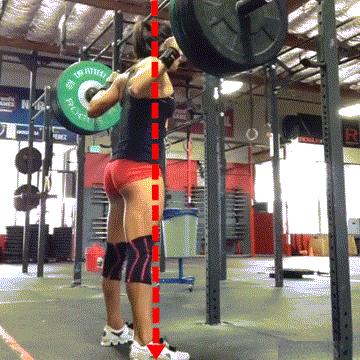 腿部肌肉练习全攻略,腿部肌肉起止点及功能训练动态图