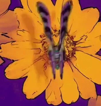 女团ins风,女团最火热曲