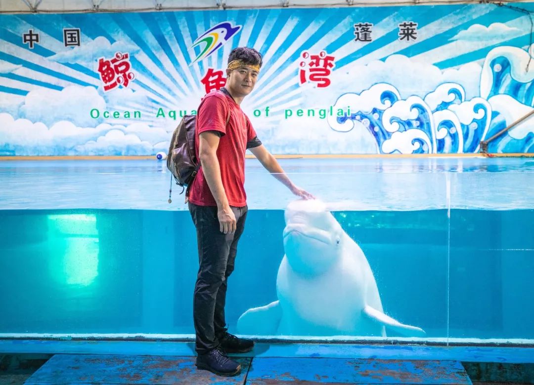 蓬莱美如画,蓬莱美景