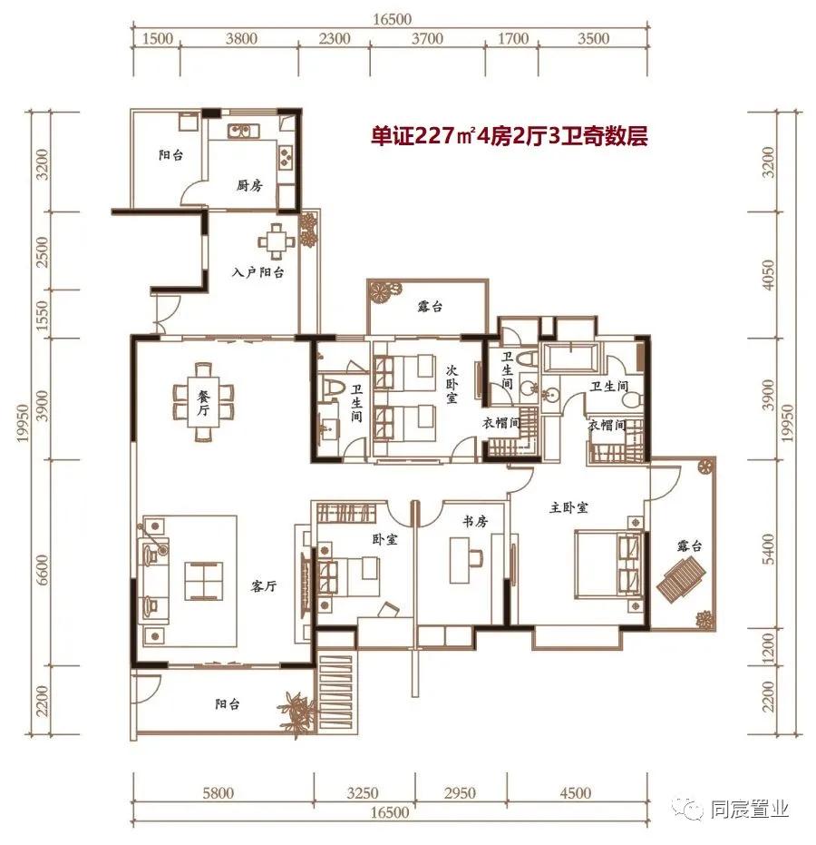 深圳湾三湘海尚208平毛坯,深圳湾三湘海尚和红树西岸