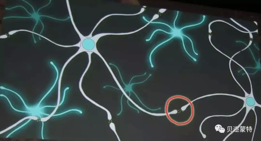 鏈潵宸叉潵TheFuture,鏈潵宸叉潵濮嬩簬鐜板湪