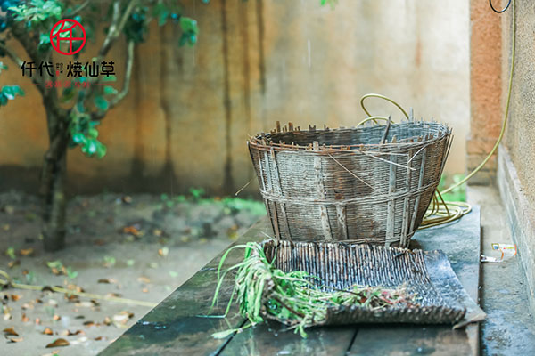 原味经典烧仙草,真正好吃的烧仙草