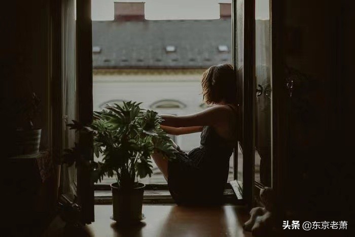 抱抱,亲亲,举高高——阳光和灰色之下日本出租女友