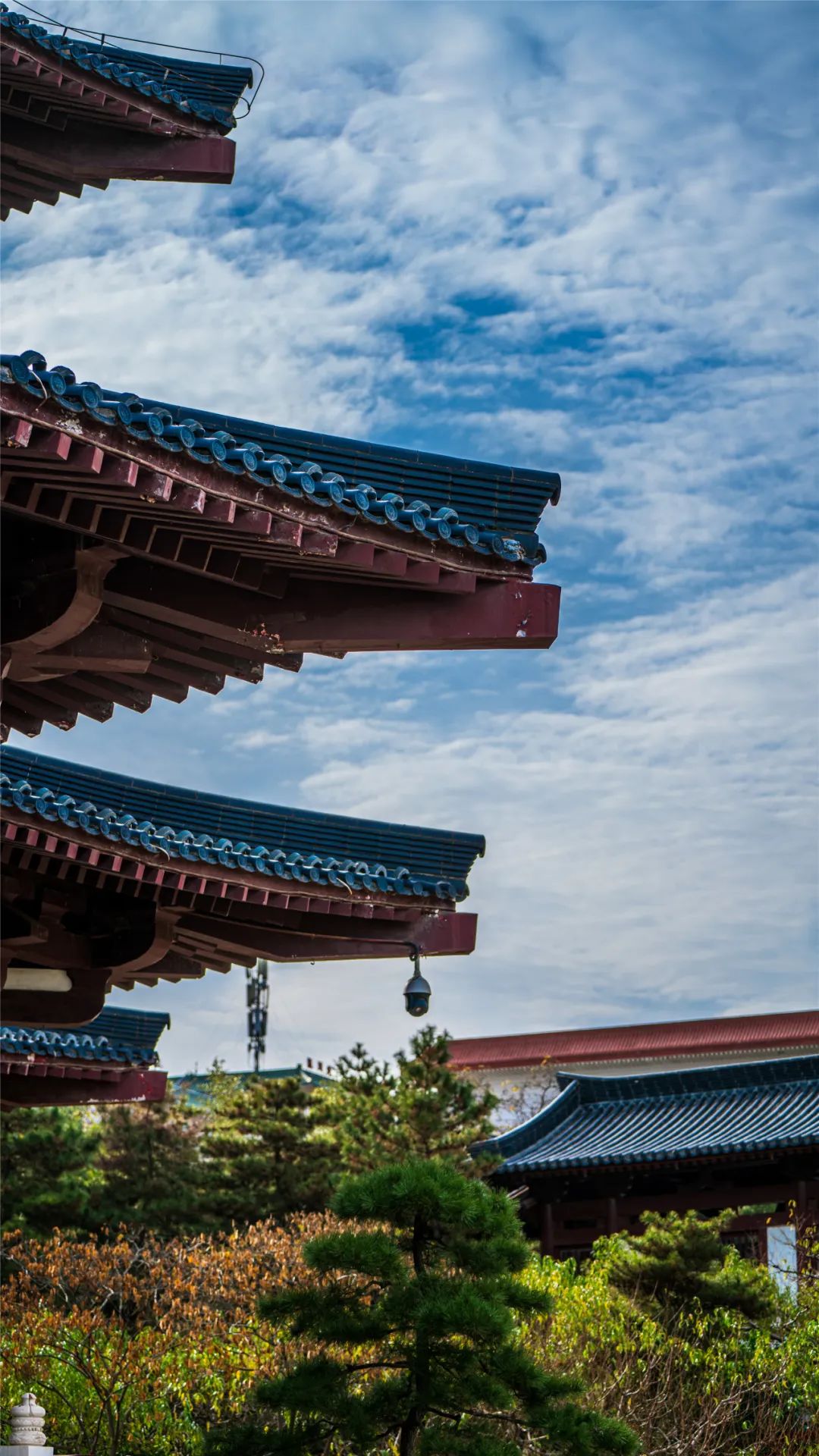 华清宫的初冬美景，惊艳了谁的时光？