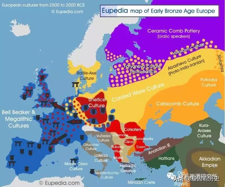 父系R1a人群系列——包括中国的楼兰人