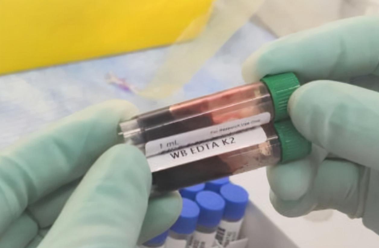 海关截获4米长的巨型眼镜王蛇,江苏眼镜王蛇