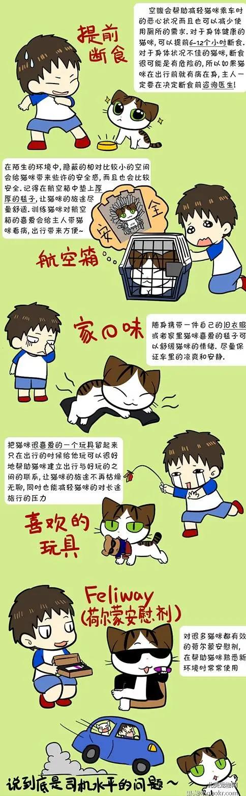 猫咪晕车吐了,猫咪晕车怎么办缓解