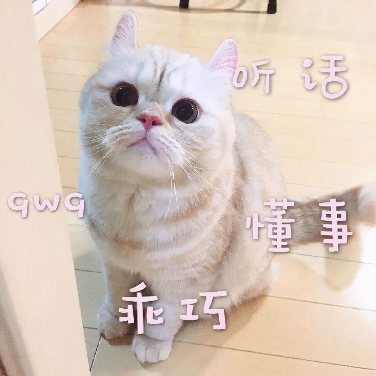 有色弱不知有没有单色识别不全,有色粉可以做什么