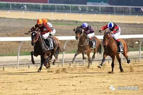 武汉攻略地铁,武汉高铁游最强攻略