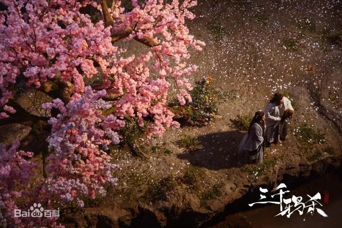 宅家追剧必备好剧畅快追,五一宅家里追剧攻略