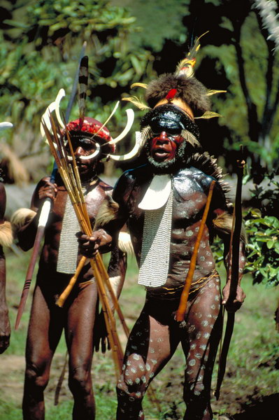 亚马逊丛林有哪些特点,亚马逊雨林有多恐怖颠覆你的三观