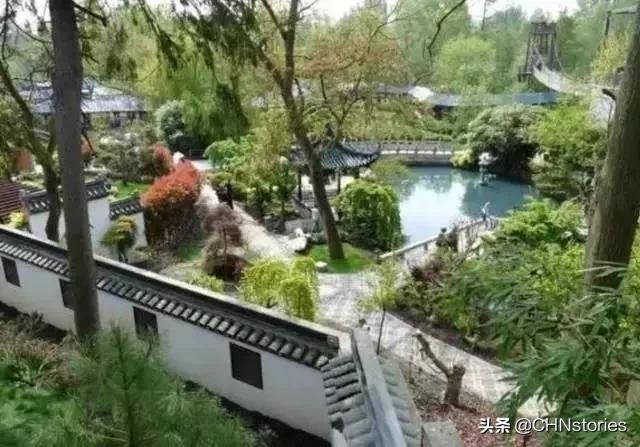 熊猫贝贝回国后的生活,和平大使熊猫