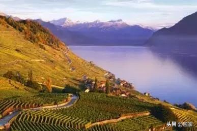 瑞士人竟然这么爱喝，拥有是世界遗产的葡萄园，作业还在靠手工