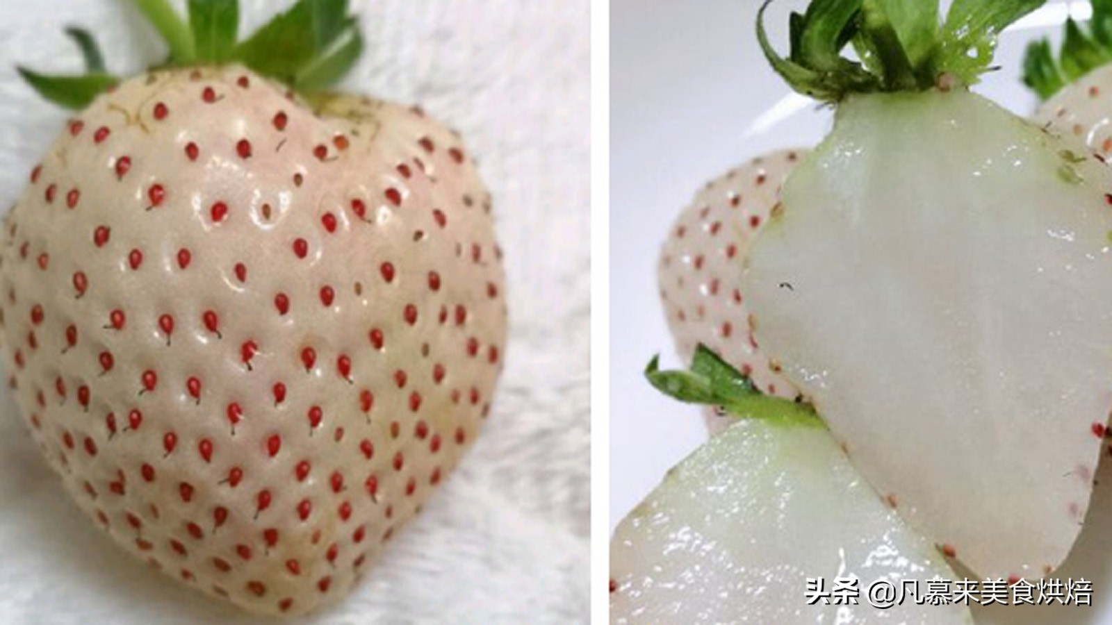 草莓哪个品种最好吃又好种,2018产量最好最大的草莓品种