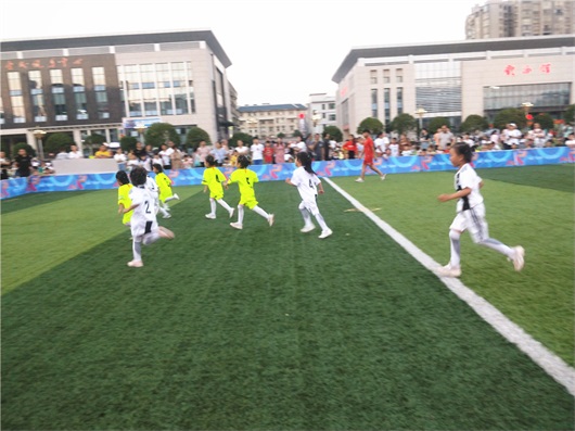 全国足球特色幼儿园活动指南,足球特色幼儿园有哪些活动