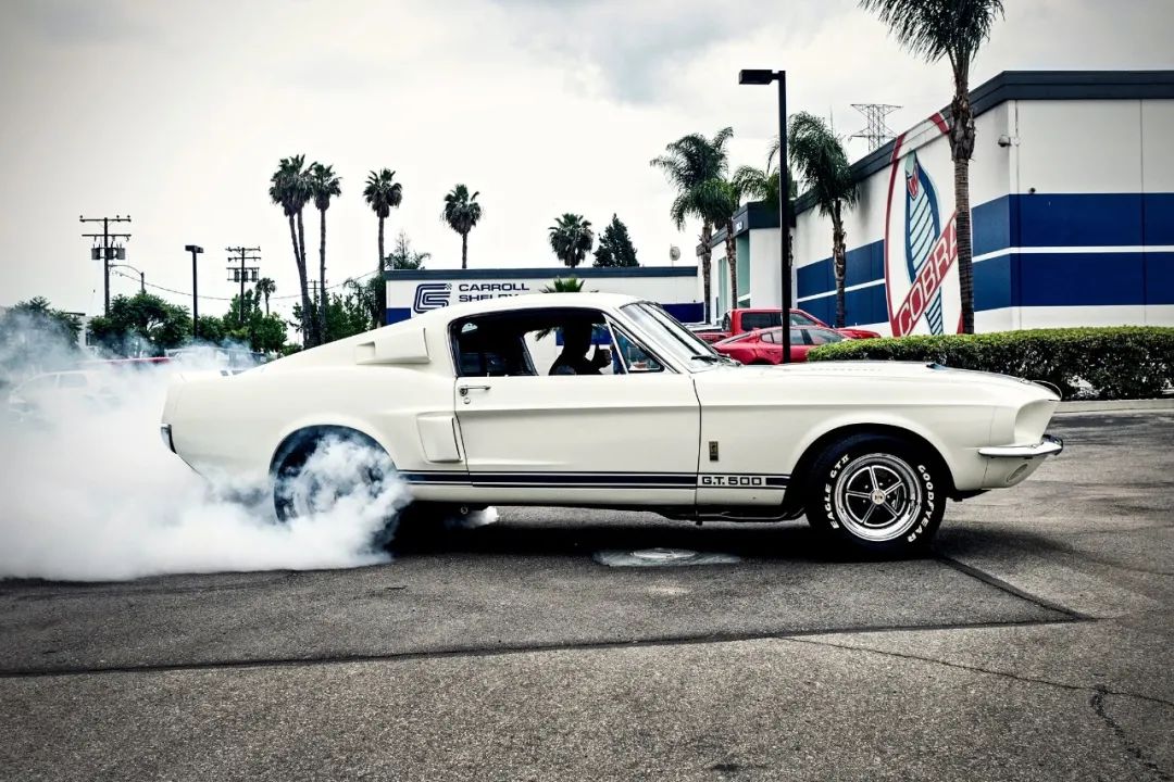 野马最长的一款,最贵的野马车型是哪一款