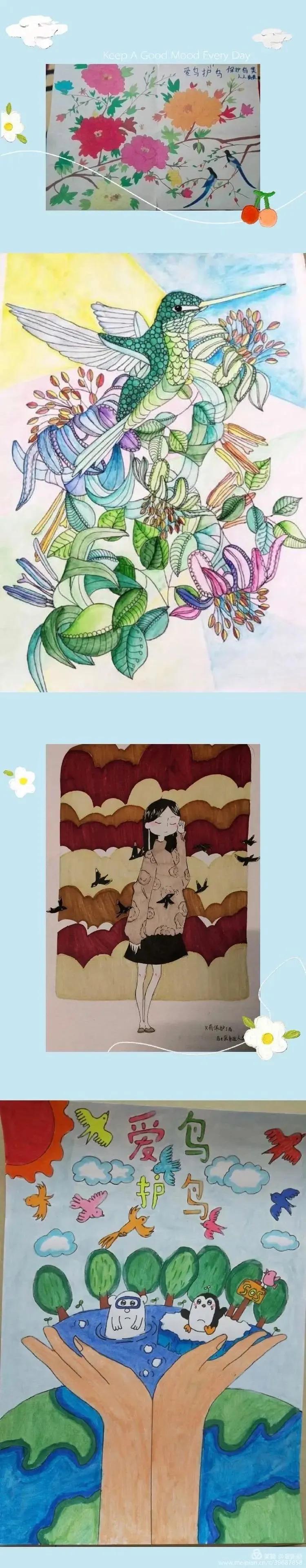 “同心呵护鸟类共建美好家园”建阳麻沙中心小学第38届爱鸟周活动