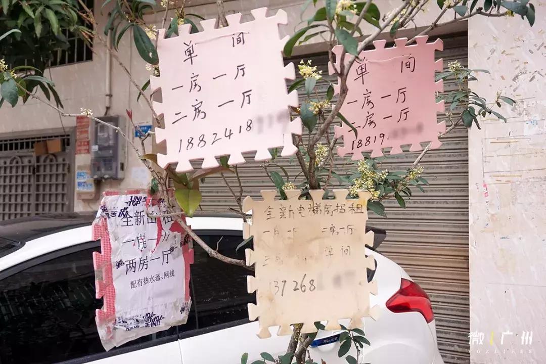 嘉禾望岗有便宜的房子租吗,嘉禾望岗租房可以吗